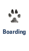 Loving boarding for your dog when you are away