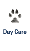 Caring Day Care for your dog