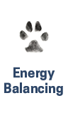 Energy Balancing for dogs and people