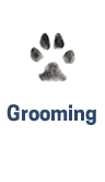 Professional Grooming for you dog