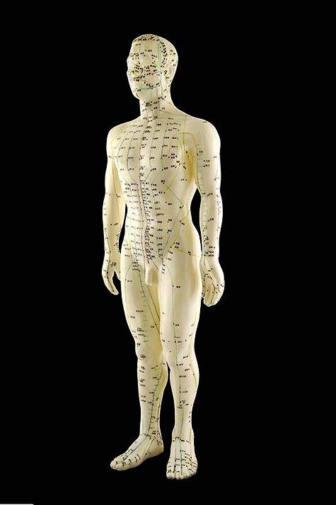 Diagram of Human Meridians